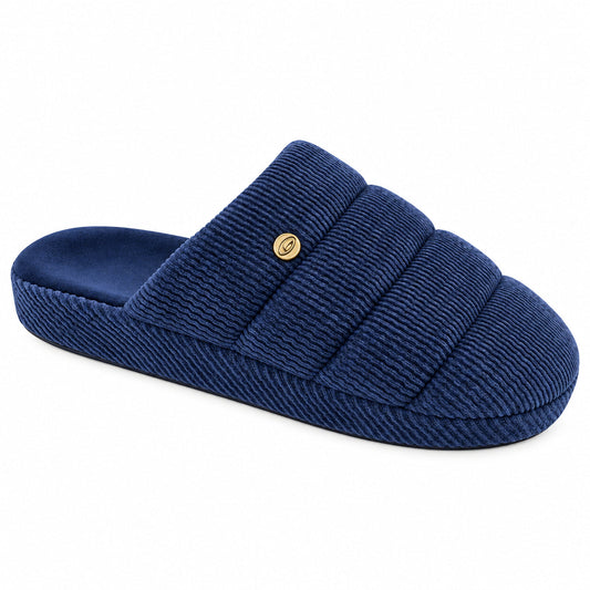 Chinelo Interior Homem Azul Beppi-2225590