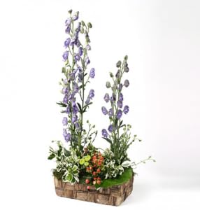 Espuma floral Oasis Ideal Maxlife verde em pormenor