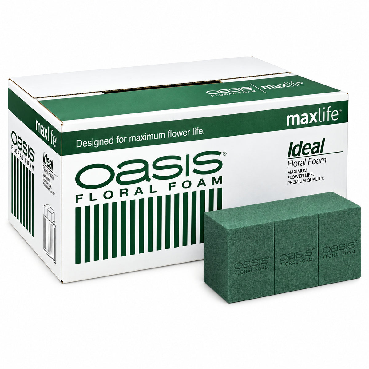 spuma floral Oasis Ideal Maxlife verde, caixa com 20 unidades